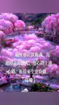 卡通世界杯找不同