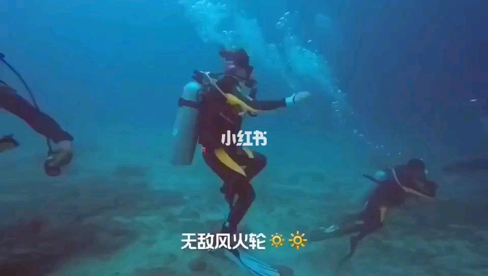 7米微公交