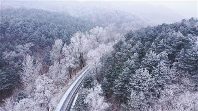 钛酸锂软包电池模组